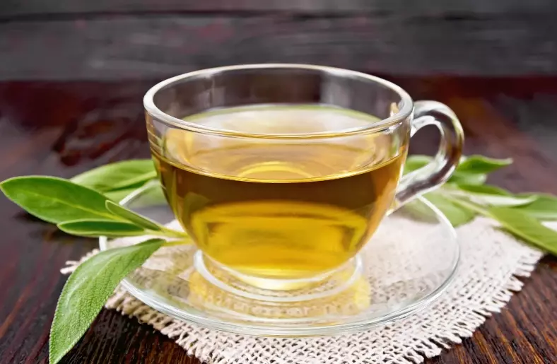 is green tea good for losing weight